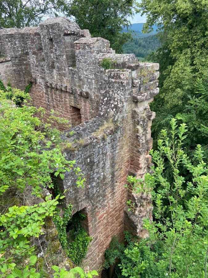 Gîte de la Vallée Dambach Esterno foto